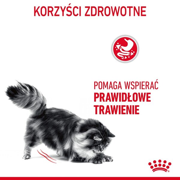 Royal Canin Digestive Care suché krmivo pro kočky 10 kg Dospělý jedinec Na ryby, Drůbež, Rýže, Zeleninová