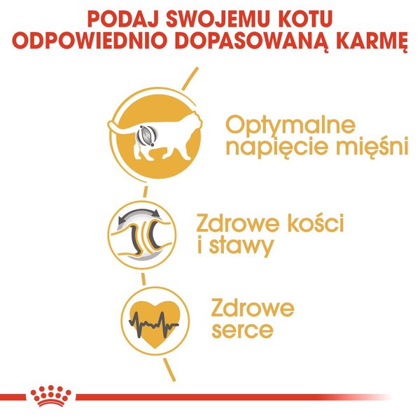 ROYAL CANIN FBN British Shorthair Adult suché krmivo pro kočky - 10 kg