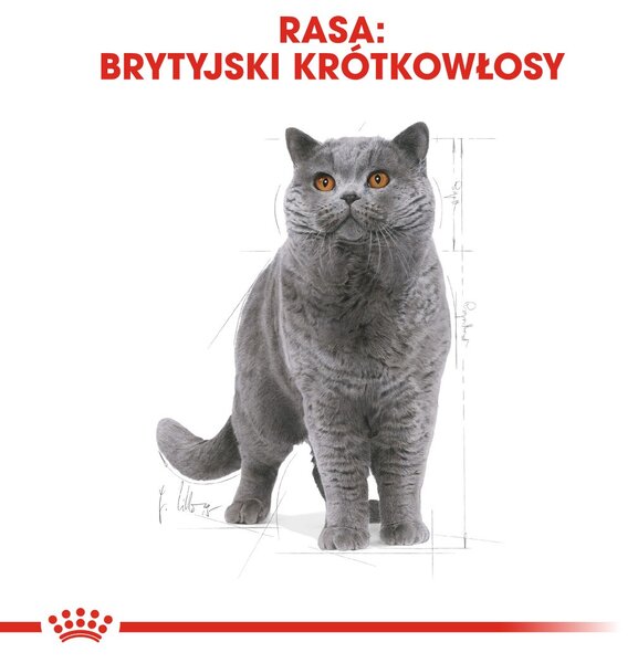 ROYAL CANIN FBN British Shorthair Adult suché krmivo pro kočky - 10 kg