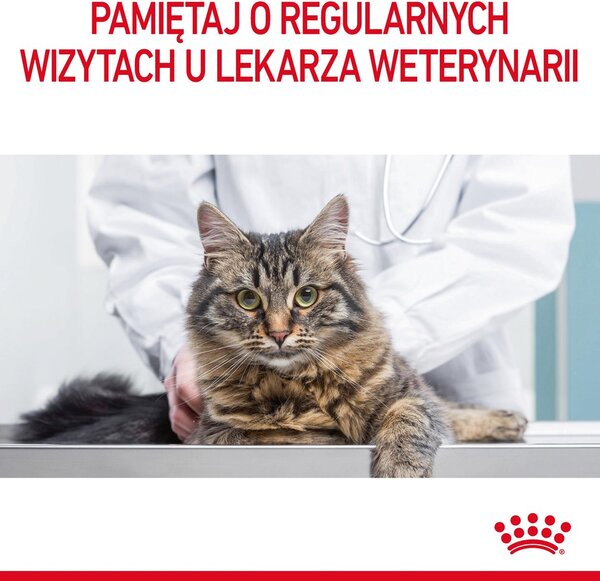 Royal Canin Urinary Care suché krmivo pro kočky 10 kg