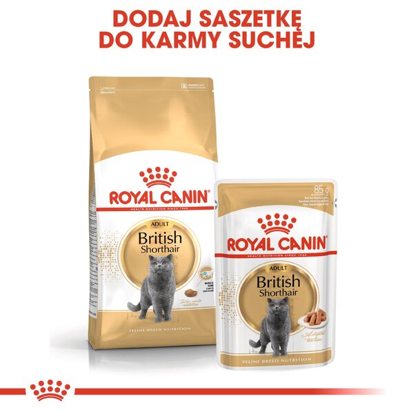 ROYAL CANIN FBN British Shorthair Adult suché krmivo pro kočky - 10 kg