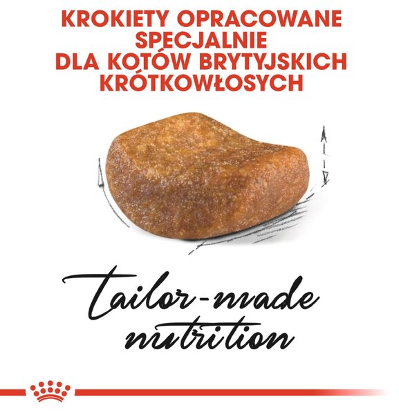 ROYAL CANIN FBN British Shorthair Adult suché krmivo pro kočky - 10 kg