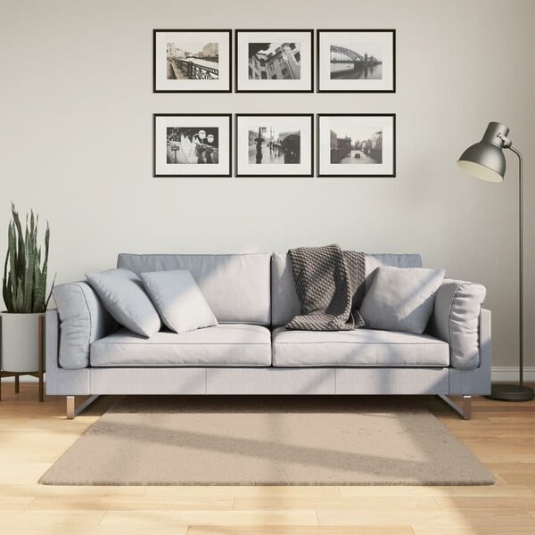 VidaXL Koberec HUARTE krátký vlas měkký a pratelný 120x120 cm [374999] Barva: antracitová