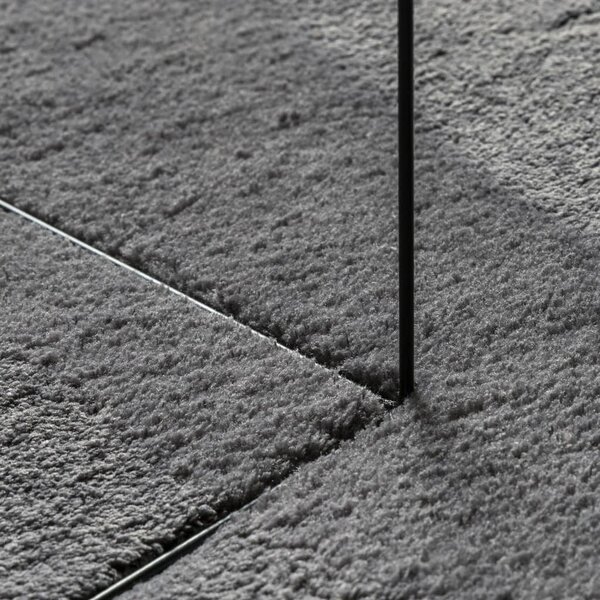 VidaXL Koberec HUARTE krátký vlas měkký a pratelný 120x120 cm [374999] Barva: antracitová