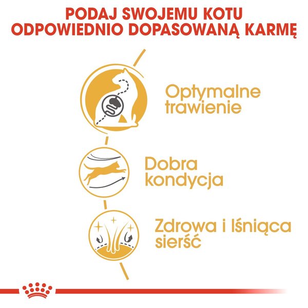 ROYAL CANIN FBN Bengal Adult - suché krmivo pro kočky - 10kg