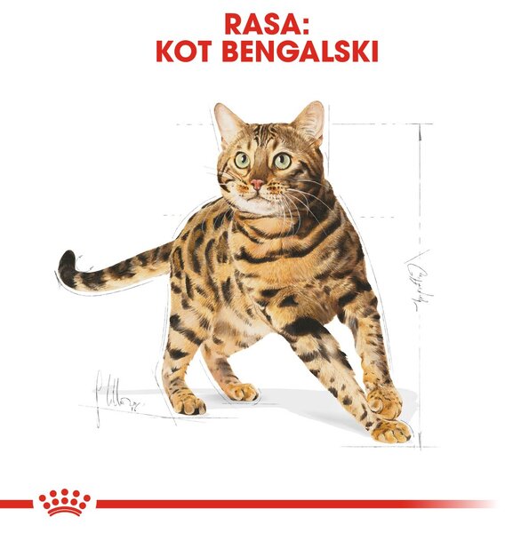 ROYAL CANIN FBN Bengal Adult - suché krmivo pro kočky - 10kg
