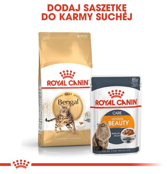 ROYAL CANIN FBN Bengal Adult - suché krmivo pro kočky - 10kg