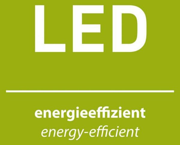 PAUL NEUHAUS LED stolní lampa černá / zlatá dotykový stmívač prohnutý design do interiéru 3000K PN 9141-18