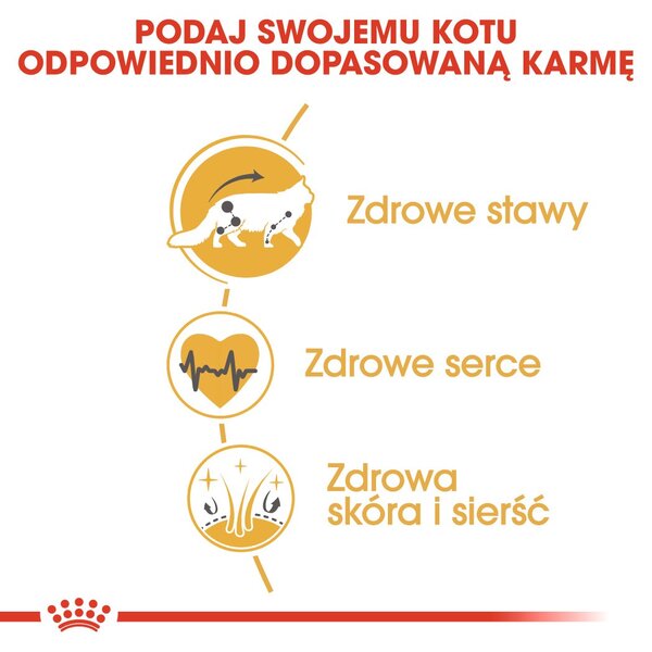 ROYAL CANIN FBN Maine Coon Adult suché krmivo pro kočky - 10kg