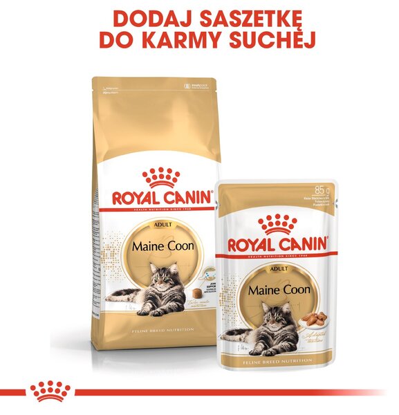 ROYAL CANIN FBN Maine Coon Adult suché krmivo pro kočky - 10kg