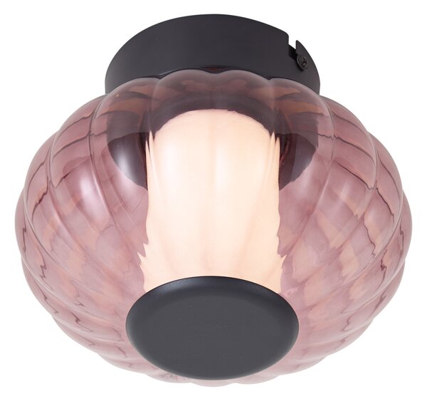 Designové stropní svítidlo černé 18cm s fialovým sklem, vč. LED s 3-stupňovým stmíváním - Margherite