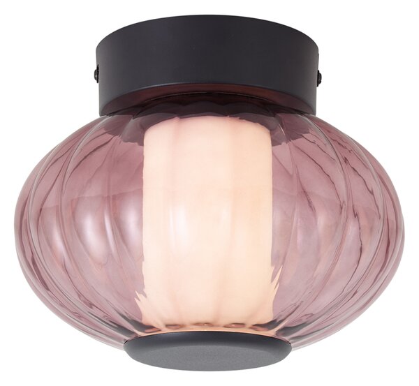 Designové stropní svítidlo černé 18cm s fialovým sklem, vč. LED s 3-stupňovým stmíváním - Margherite