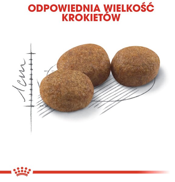 ROYAL CANIN Sterilised 37 - suché krmivo pro kočky - 10 kg