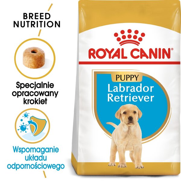 ROYAL CANIN SHN Breed Labrador Junior suché krmivo pro psy - 12 kg