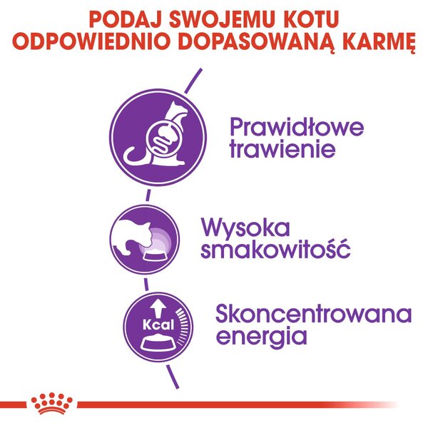 Royal Canin Sensible 33 suché krmivo pro kočky 10 kg Dospělý jedinec