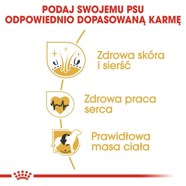 ROYAL CANIN BHN Golden Retriever suché krmivo pro psy - 12kg
