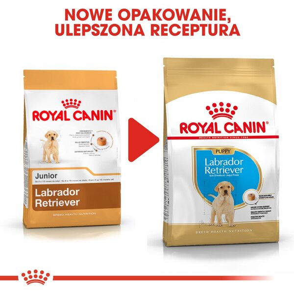 ROYAL CANIN SHN Breed Labrador Junior suché krmivo pro psy - 12 kg