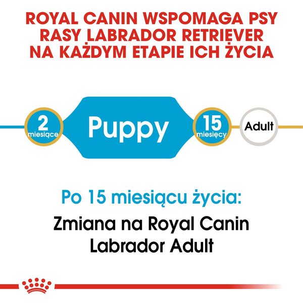 ROYAL CANIN SHN Breed Labrador Junior suché krmivo pro psy - 12 kg