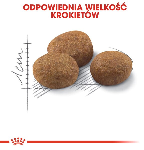 ROYAL CANIN Sterilised 7+ - suché krmivo pro kočky - 10 kg