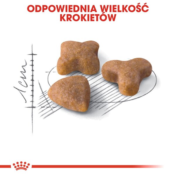 Royal Canin Sensible 33 suché krmivo pro kočky 10 kg Dospělý jedinec