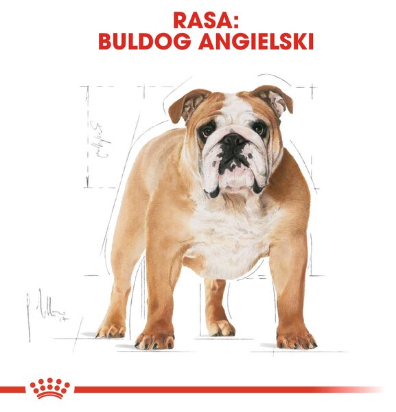 ROYAL CANIN Bulldog Adult - suché krmivo pro psy - 12 kg