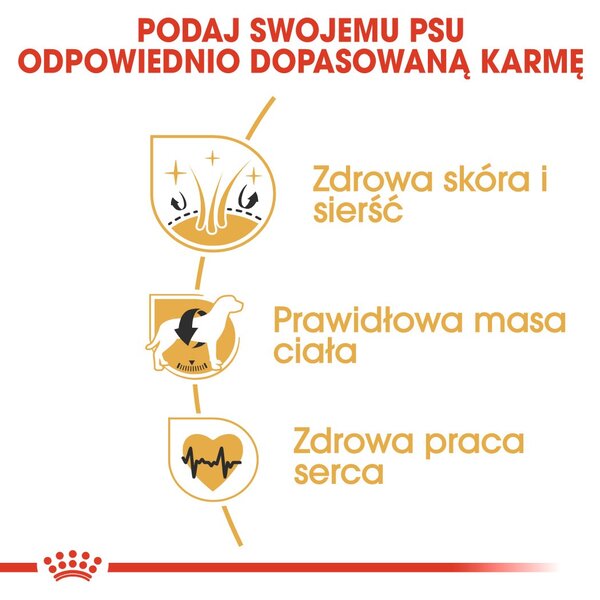 ROYAL CANIN Adult Cocker - suché krmivo pro psy - 12 kg