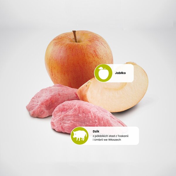FARMINA N&D Prime Wild Boar & Apple Adult Medium & Maxi - suchá karma pro psa - 12kg