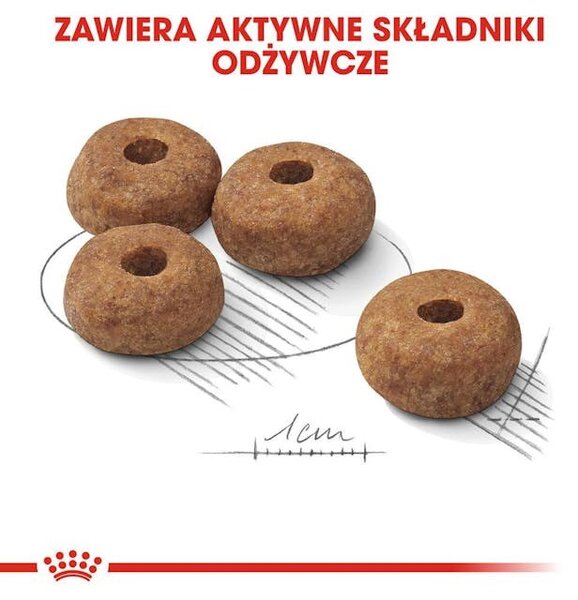 ROYAL CANIN CCN Medium Sterilised Adult - suché krmivo pro psy - 12 kg