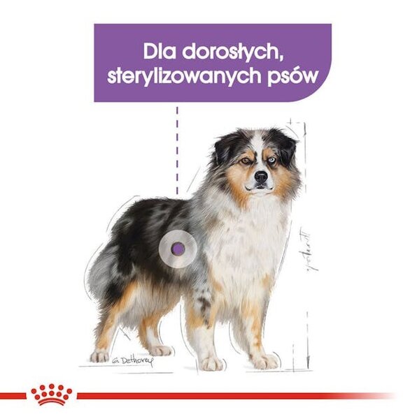ROYAL CANIN CCN Medium Sterilised Adult - suché krmivo pro psy - 12 kg