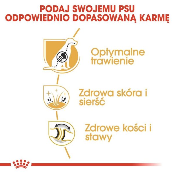 ROYAL CANIN German Shepherd Adult – suché krmivo pro dospělé psy plemene německý ovčák - 11kg