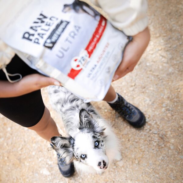 VEE VETEXPERT Raw Paleo Ultra Medium&Large Puppy Mono Beef - suché krmivo pro štěňata - 10 kg