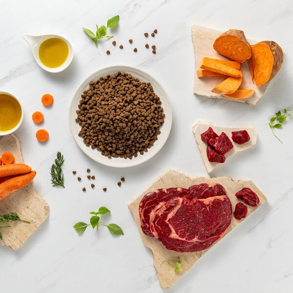 VEE VETEXPERT Raw Paleo Ultra Mini Puppy Mono Beef - suché krmivo pro štěňata malých plemen - 8 kg