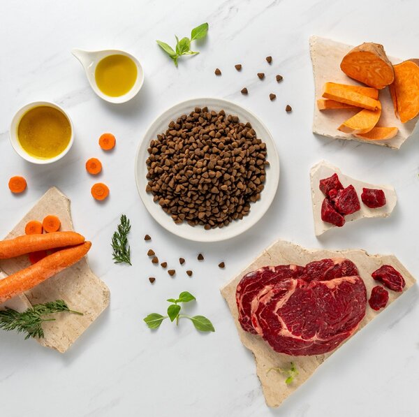 VEE VETEXPERT Raw Paleo Ultra Medium&Large Adult Beef Mono - suché krmivo pro psy - 10 kg