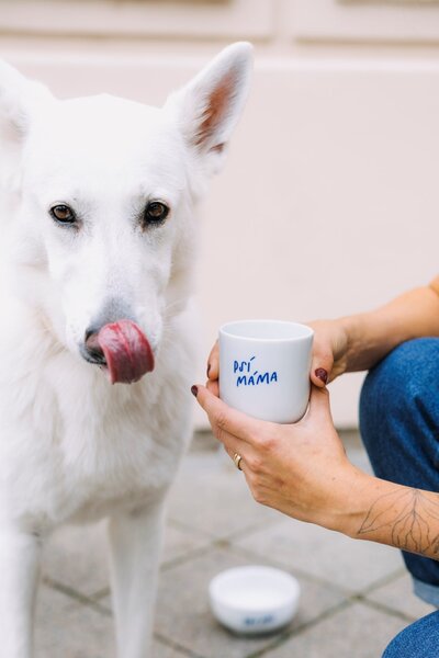 Porcelánový hrnek Psí máma 270 ml