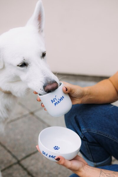 Porcelánový hrnek Psí máma 270 ml