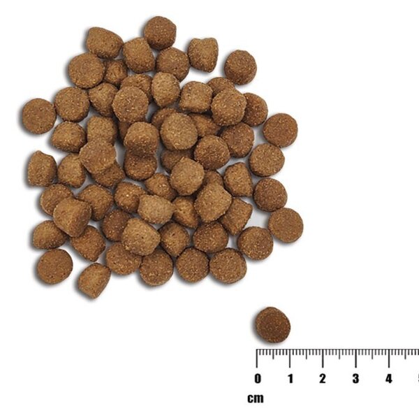 VEE VETEXPERT Raw Paleo Healthy Grain Puppy Losos a ječmen - suché krmivo pro psy - 10 kg