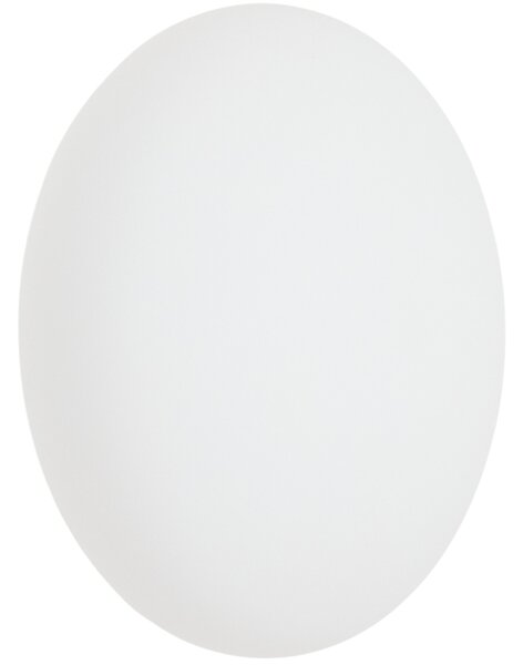 Kave Home Skleněné nástěnné světlo s černou základnou Bamila Ø 25 cm
