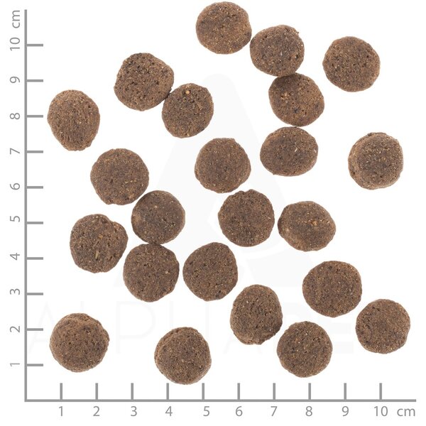 WBL WOLFSBLUT VetLine Hypoallergenic Horse Mono - suché krmivo pro psy - 12kg