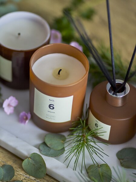 Vonný difuzér NO. 6 Sequoia 100 ml