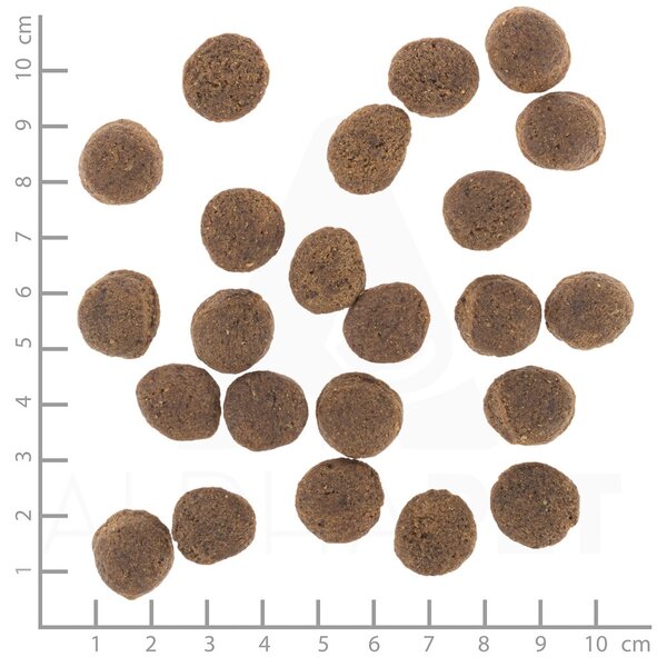 WBL WOLFSBLUT VetLine Gastrointestinal Duck - suché krmivo pro psy - 12kg