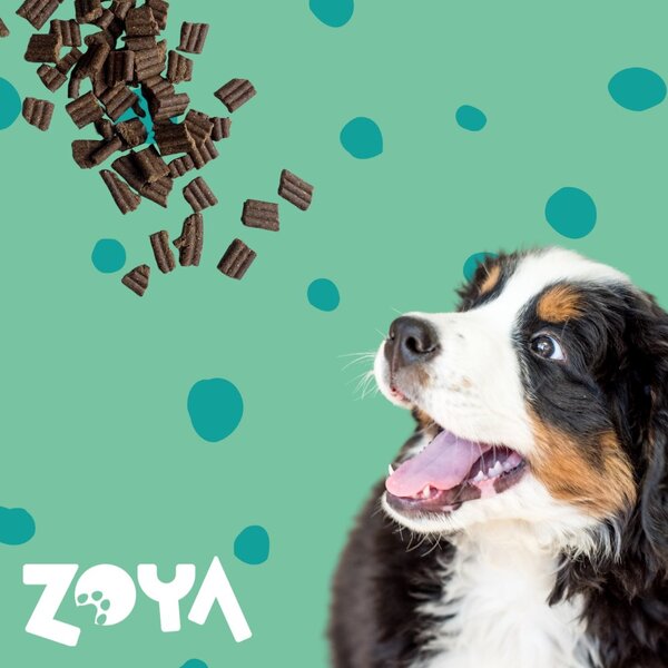 ZOY ZOYA ColdPRO Deer Mono - suché krmivo pro psy - 9kg