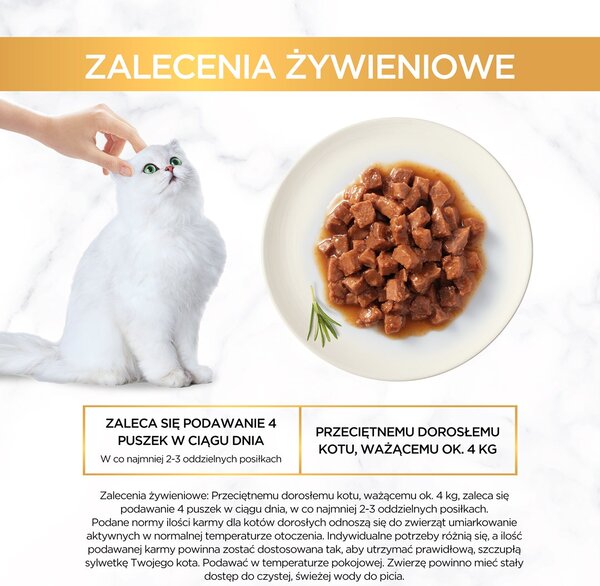 PURINA GOURMET GOLD Kousky v omáčce Mix 4 Flavors Box - mokré krmivo pro kočky - 96x85g