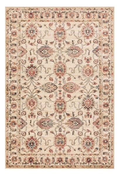Béžový koberec 120x160 cm Raja – Asiatic Carpets