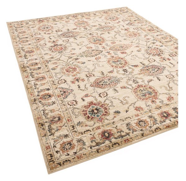 Béžový koberec 120x160 cm Raja – Asiatic Carpets