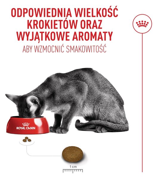 ROYAL CANIN Exigent Fussy - suché krmivo pro kočky - 10kg