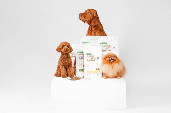 NPO NATURE'S PROTECTION Superior Care Red Coat Adult Small breed Grain free Salmon - suché krmivo pro psy - 10kg