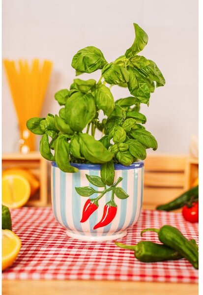 Keramický ručně malovaný obal na květináč ø 12 cm Chilli – Sass & Belle