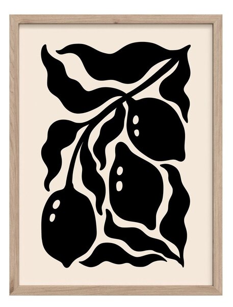Tištěný obraz s rámem 30x40 cm Fruit – Styler