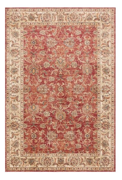 Červený koberec 120x160 cm Raja – Asiatic Carpets