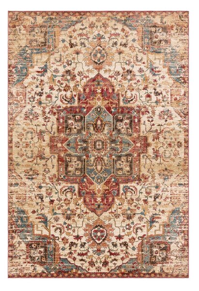 Koberec 120x160 cm Raja – Asiatic Carpets